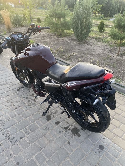 Geon Panthera 250