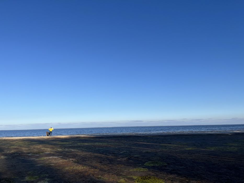 Продам дачу з ділянкою. Вишгород. Пилява.