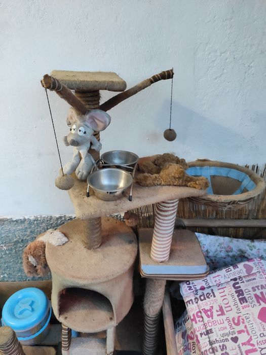 Arranhador Gato Multiplataforma com cama e abrigo + Extras