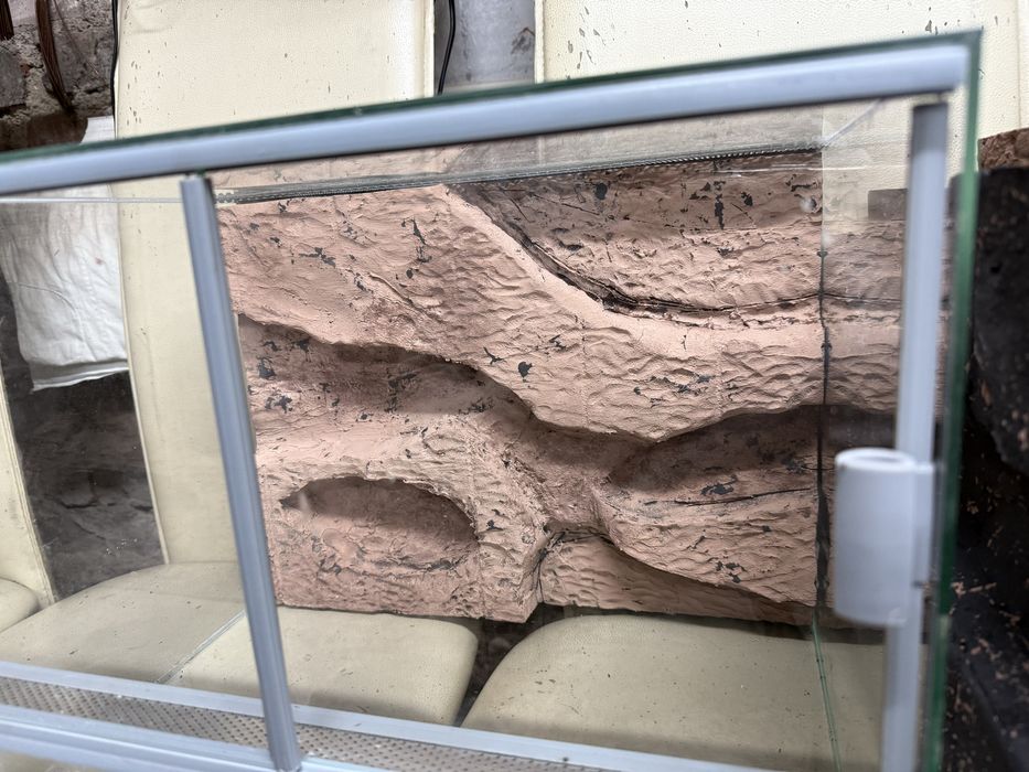 Scianka do terarium
