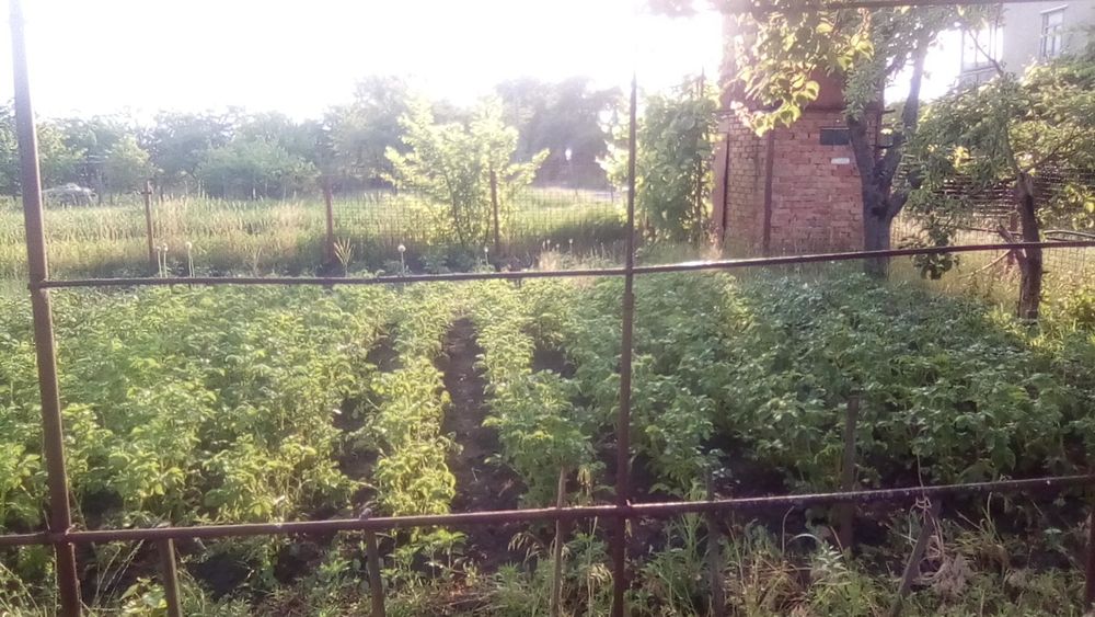 Дачний участок, дача комунальник, земельна ділянка