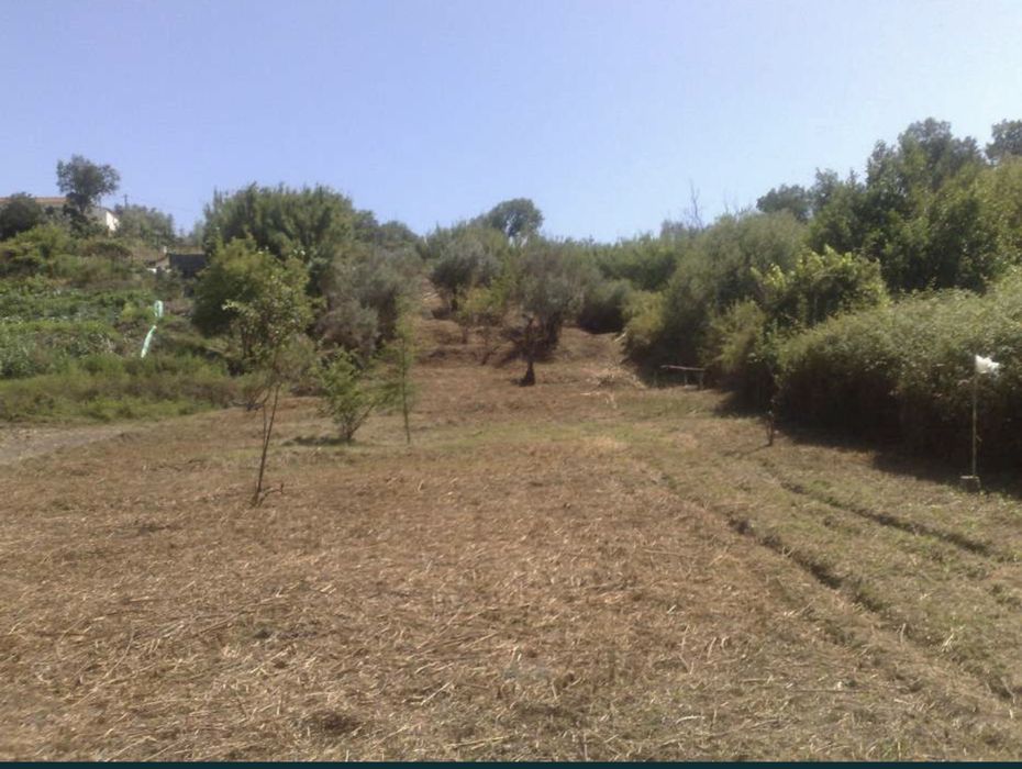 Vendo Casa Devoluta e terrerno 2750m2