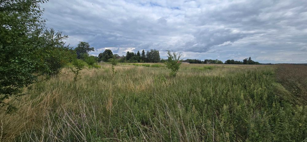 Urokliwa działka w Krzymowie k/Chojny