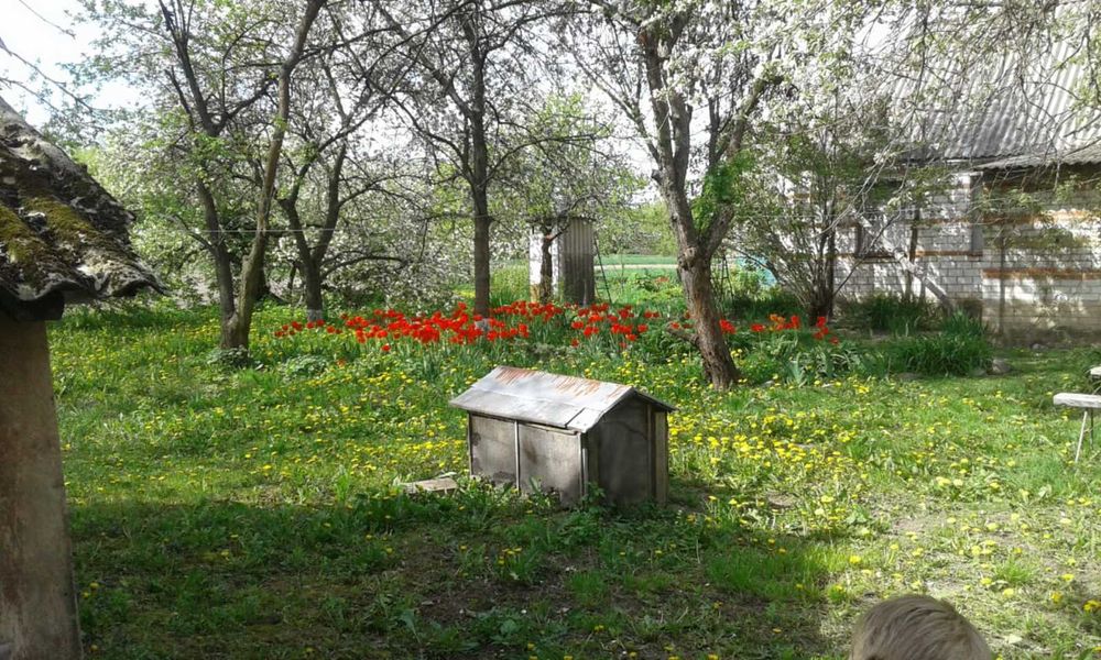 Продам будинок Київська обл.Фастівський р-н с Грузьке вул Брусилівська