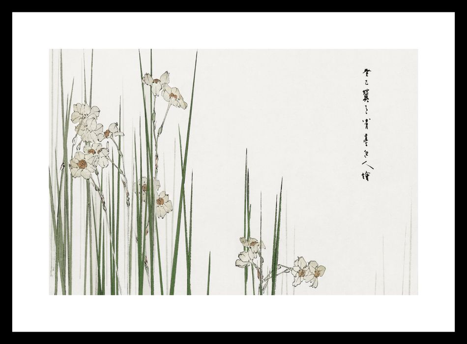 Plakat 30x20cm Jonquil, Bijutsu Sekai Japoński Vintage