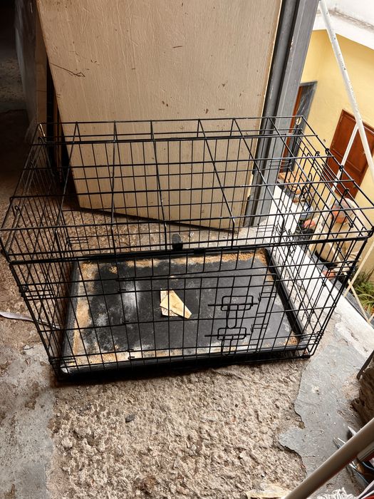 Gaiola hamster/ coelho