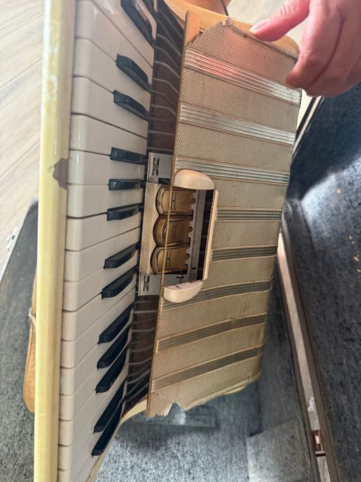 Acordeão Hohner Arietta IM