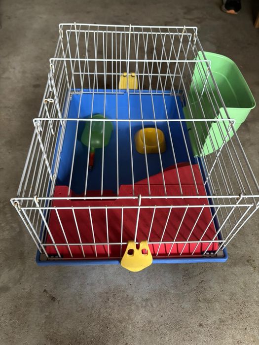 Gaiola Porquinho da India