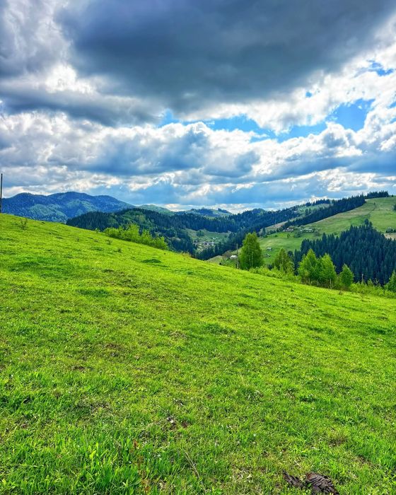 Продається земельна ділянка 94 сотики в Верховині присілок Пушкарі.