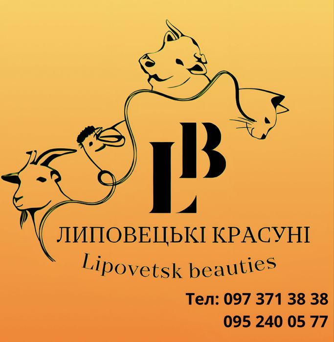 БМВД для бройлера