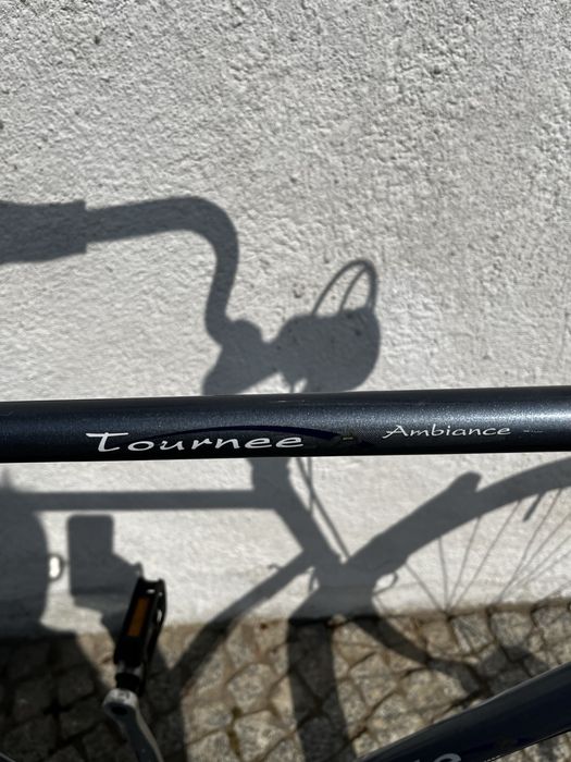 Gazelle Tournee Ambiance Latający Holender