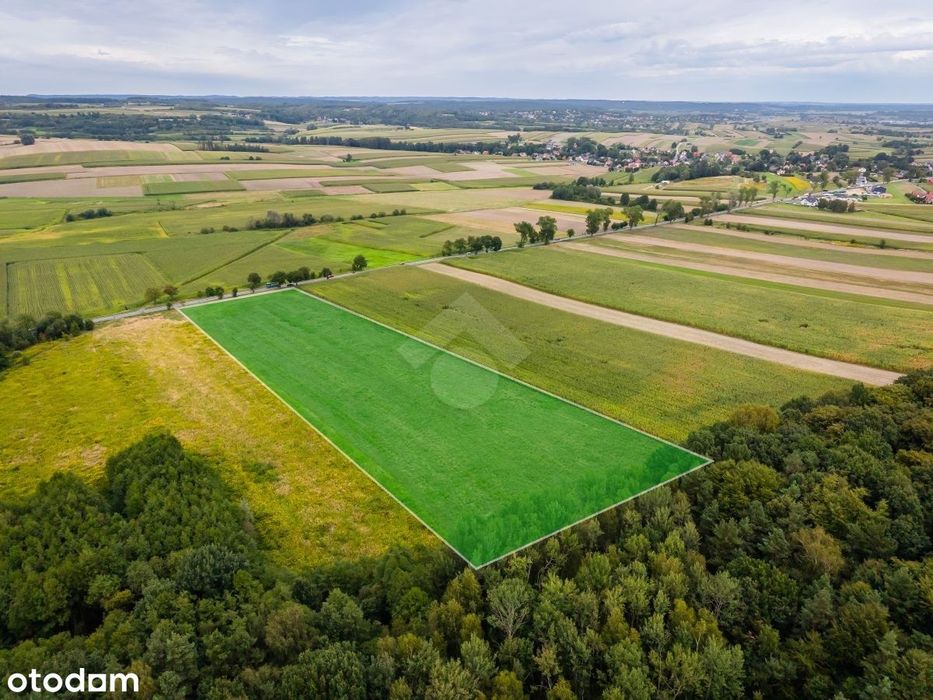 Działka rolna o powierzchni 2,6 ha - Widok 2
