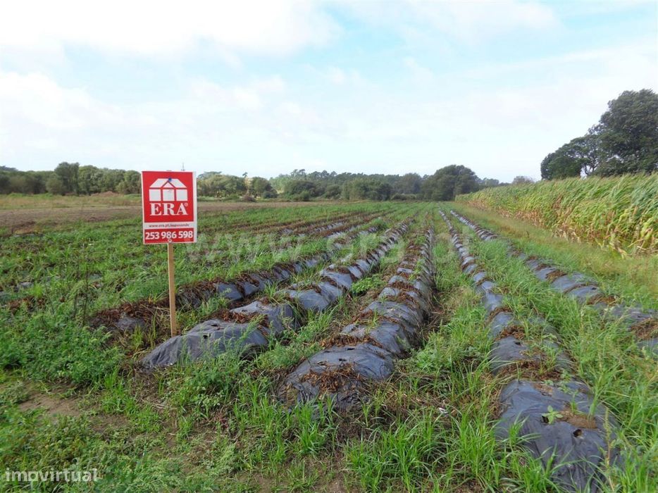 Terreno agrícola em Belinho, Esposende