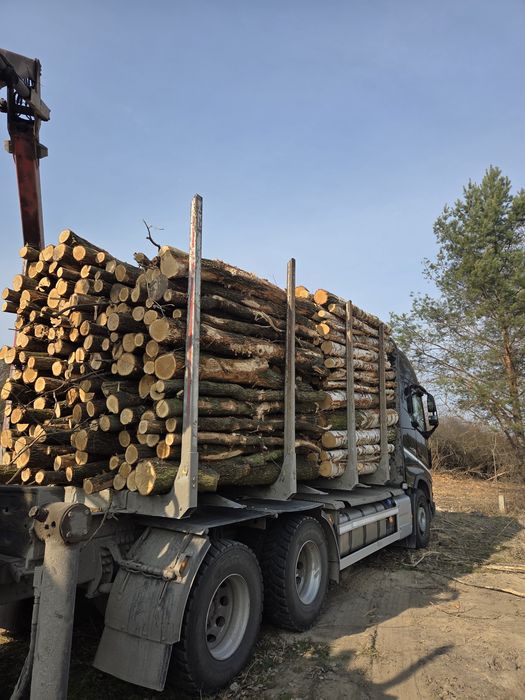 Drewno kominkowe, opałowe. Transport gratis,  najtaniej