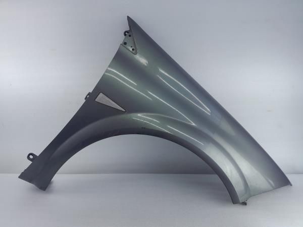 Guarda-lamas direito RENAULT Megane II (BM0/1_, CM0/1_)
