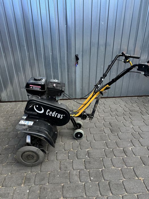 Glebogryzarka cedrus TIG6580 6,5 KM 80cm