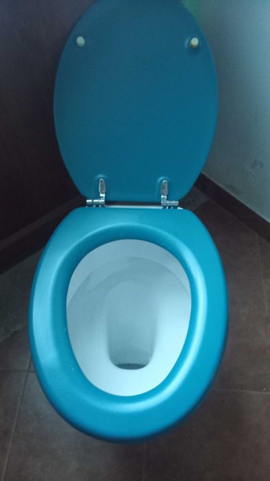 Sanita com tampo azul