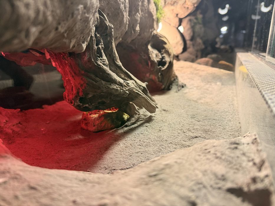 Customowe ścianki do terrarium na zamówienie