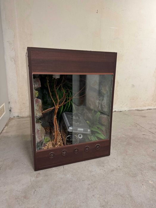 Terrarium dla kameleona
