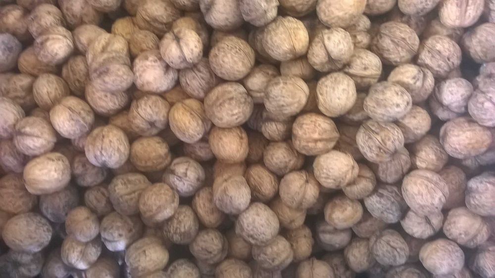 Orzechy Włoskie  Ekologiczne OKAZJA 2025