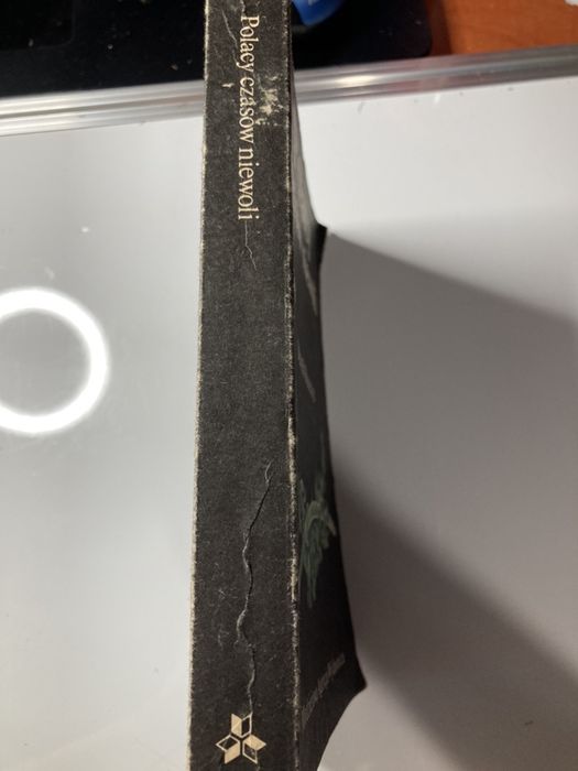 „Polacy czasów niewoli” Marek Ruszczyc