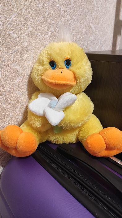 М'яка іграшка, уточка, плюшева іграшка, каченя