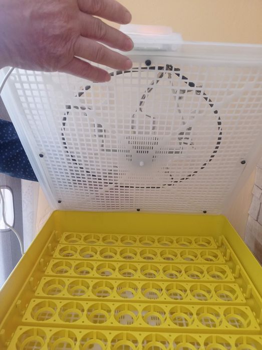 Inkubator do jaj