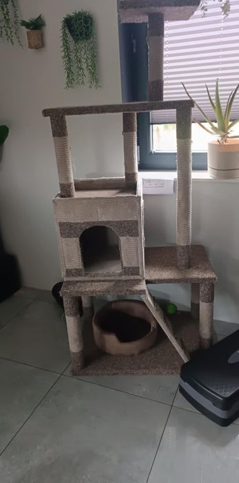 Solidny drapak dla kota