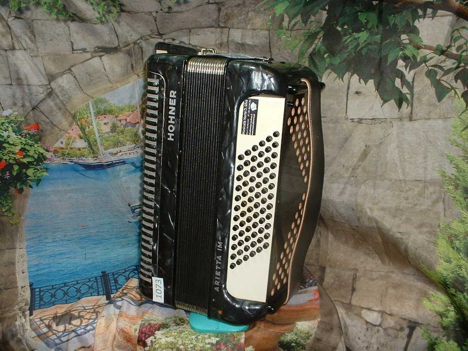 Promoção de Acordeões de concertinas