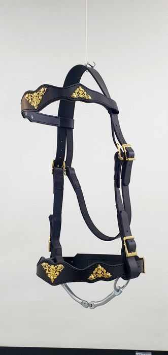 Уздечка на коня,капейстра