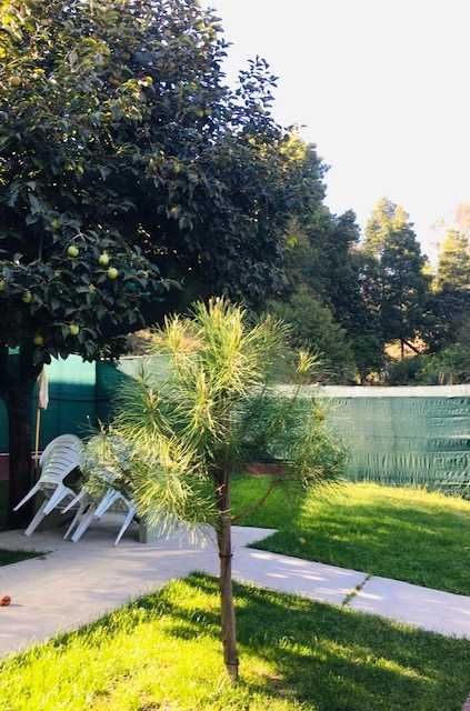 Aluga se : Moradia T2 ,com jardim  e garagem a 10 km de Aveiro