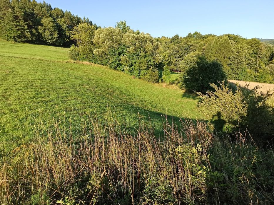 Działka Widokowa Szyk
