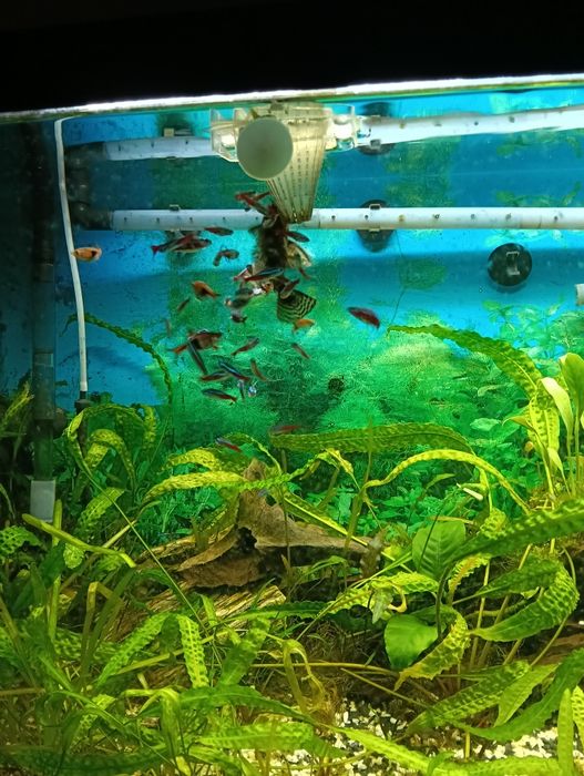 Akwarium 240 l, zestaw