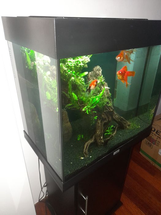 Akwarium juwel Lido 120l