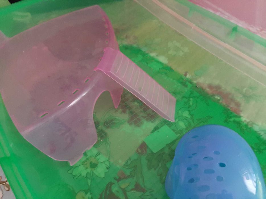 Gaiola Ratinho/Hamster, IMAC Gaiola Yo-Yo Plus Verde transparente