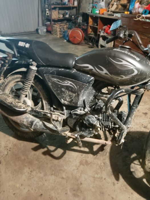 Мустанг альфа 125