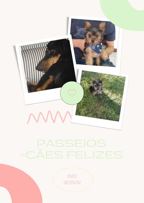Passeios igual a Amigos de 4 patas, cães , felizes e saudáveis