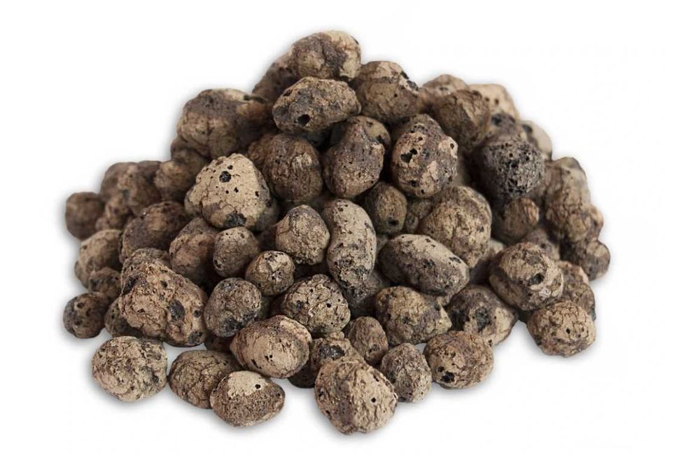 Keramzyt drenaż do terrarium 1 litr