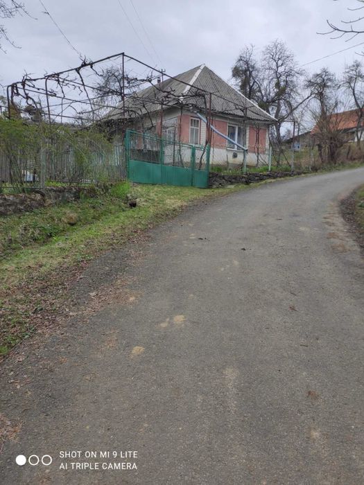 Продаж будинку в с.Пацканьово