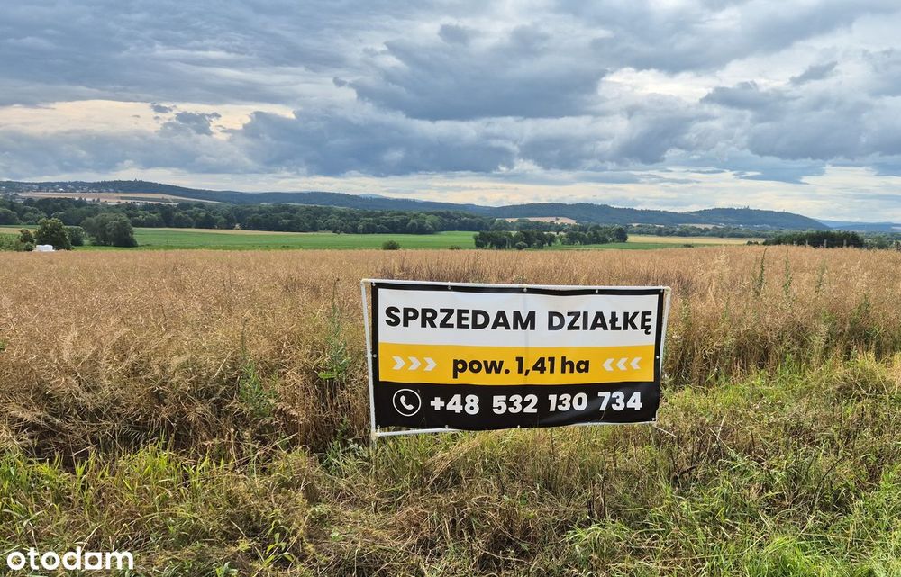 Sprzedam działkę 1,41 ha nr. 585 | Branice | Granica PL-CZ