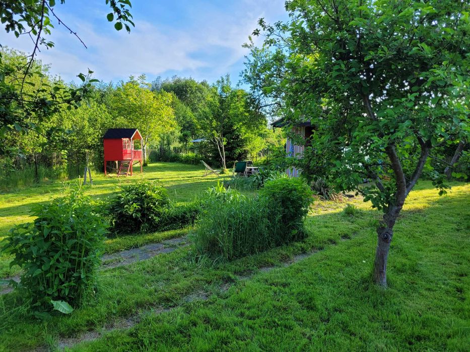 Działka ROD Kajki Olsztyn 355 m² – przyjemna - Widok 3