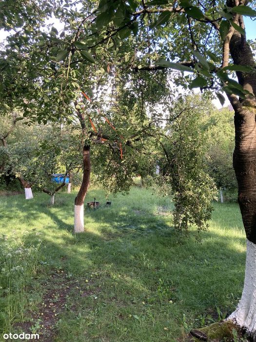 Działka ROD, Dmowskiego, przy pętli Górczyn