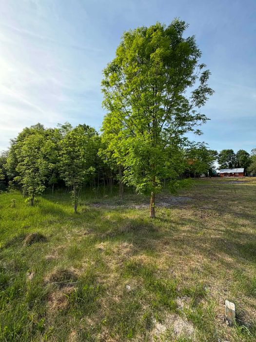 Działka Zamość / Wolica Śniatycka  – 2500 m² | MPZP | budowlana  | media | spokojna okolica - View 2