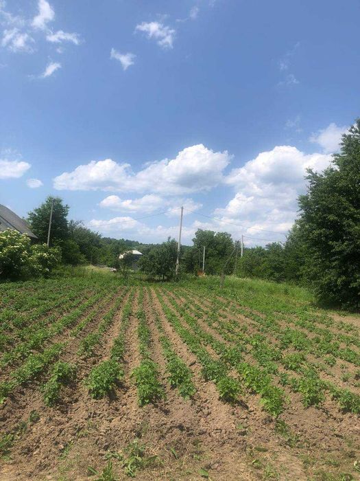 Продається земельна ділянка під житлову забудову в с. Підгір'я