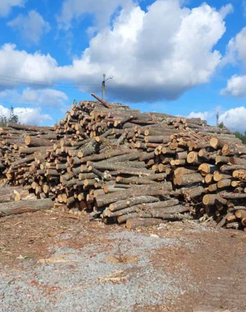 ДРОВА ОПТ та роздріб. Тверді породи. Безкоштовна доставка. 1/18 м3