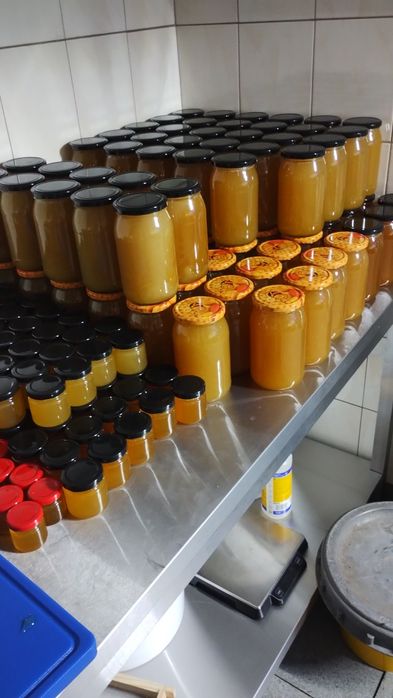 Miód sierpniowy z własnej pasieki