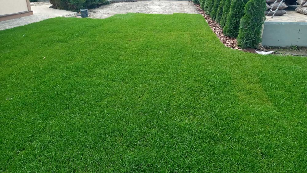 Авто полив.озиленение. обслуживание