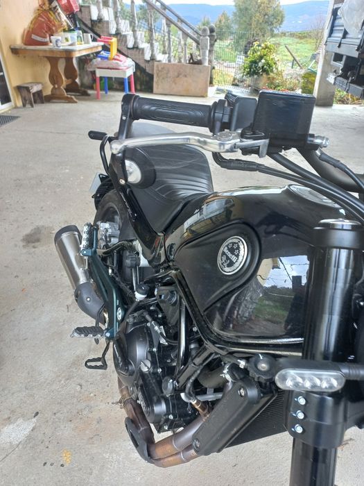 Mota Benelli leoncino