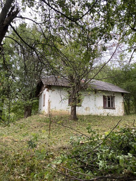 продам дачу з великою кількістю землі.