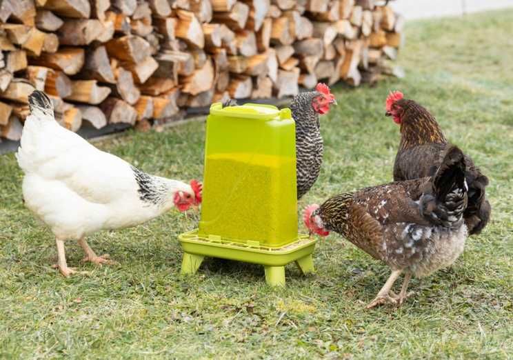 Automatyczne poidło 3,5 l+karmidło 3,5 kg na nóżkach,dla drobiu ZESTAW